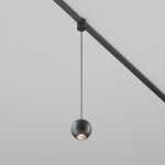 Фото 2 Трековый подвесной светильник Technical TR165-1-8W3K-M-B