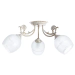 Фото Потолочная люстра Arte Lamp SOFIA A7060PL-3WG