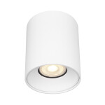 Фото ST167.502.01 Светильник потолочный Белый GU10 1*50W IP20 D80xH95 220V Без ламп Накладные светильники