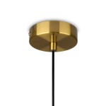 Фото 3 Подвесной светильник Freya FR1012PL-01BS1