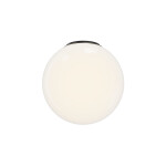 Фото 4 Потолочный светильник Maytoni MOD427CL-L10B3K