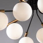 Фото 7 Потолочный светильник Freya FR5011CL-08B