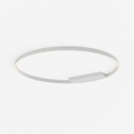 Фото 1 Потолочный светильник Maytoni MOD058CL-L65WK