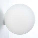 Фото 3 CL941D25B0 RON Накладной Св-к Шар База Белая