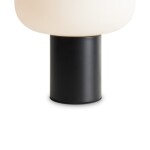 Фото 4 Настольный светильник Freya FR6175TL-L10B