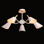 Фото 1 Люстра  635014805