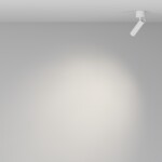 Фото 1 Потолочный светильник Technical C141CL-L125-6W4K-W