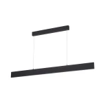 Фото Подвесной светильник Arte Lamp LARGO A2505SP-2BK