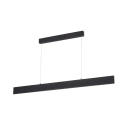 Фото Подвесной светильник Arte Lamp LARGO A2505SP-2BK