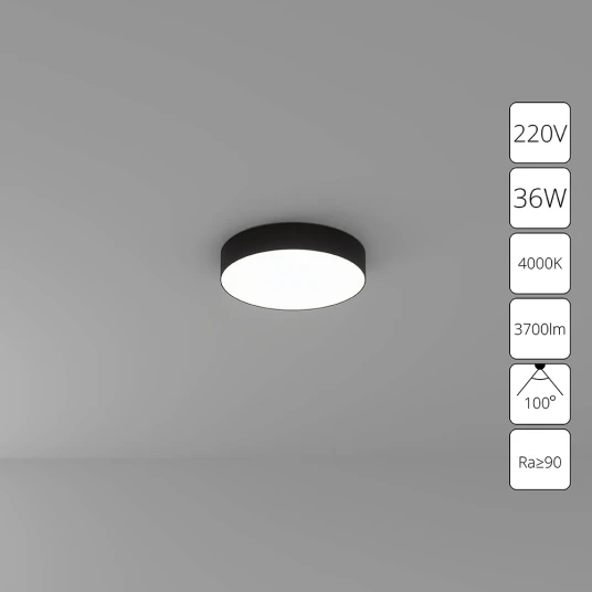 Фото Потолочный светильник Arte Lamp FADO A6635PL-1BK