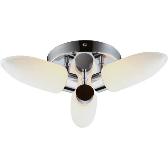 Фото Потолочная люстра Arte Lamp AQUA A9502PL-3CC