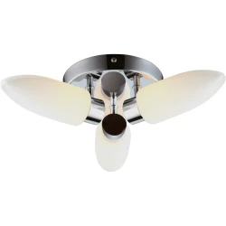 Фото Потолочная люстра Arte Lamp AQUA A9502PL-3CC