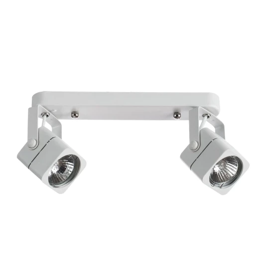 Фото Спот Arte Lamp LENTE A1314PL-2WH