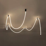 Фото 2 Потолочный светильник 10521C/5M black/white