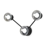 Фото 5 Потолочный светильник Freya FR5445CL-L15B