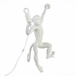 Фото 4 SLE115111-01 Светильник настенный Белый E27 1*60W TENATO