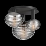 Фото 1 Потолочный светильник Maytoni MOD268CL-03B