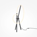 Фото 1 Настольный светильник Maytoni MOD369TL-L15B3K