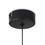 Фото 1 Подвесной светильник Freya FR6134PL-L4SM