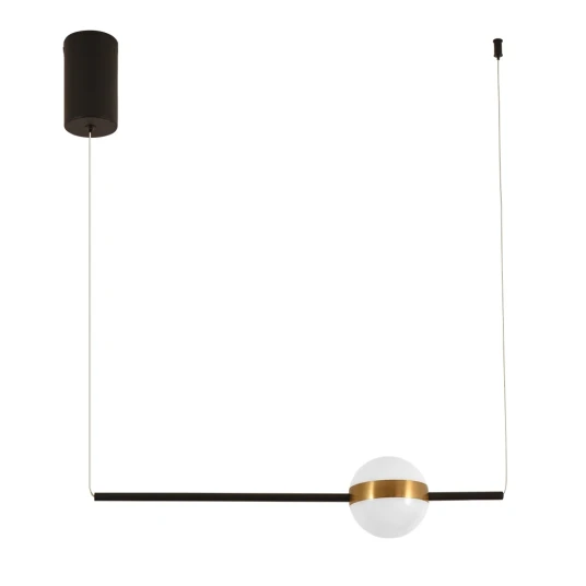 Фото Подвесной светильник Arte Lamp FURUD A2124SP-1BK