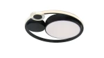 Фото Потолочный светильник Arte Lamp STOCKHOLM A2690PL-1BK
