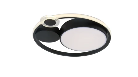 Фото Потолочный светильник Arte Lamp STOCKHOLM A2690PL-1BK