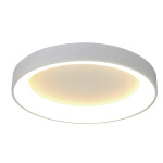 Фото 8579 Потолочный светильник NISEKO II