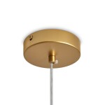 Фото 2 Подвесной светильник Freya FR5528PL-01BS