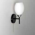 Фото 2 CL148315 Флорида Черн.+Хром Св-к Бра