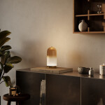 Фото 4 Настольный светильник Maytoni MOD488TL-L8BS3K