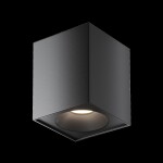 Фото 3 Потолочный светильник Technical C030CL-01B