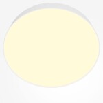 Фото 5 Потолочный светильник Technical C032CL-45W2.7K-RD-W