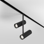 Фото 3 Трековый светильник Technical TR005-2-2X12W4K-B