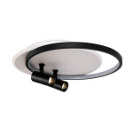 Фото 4 Потолочный светильник Freya FR6083CL-L106WB