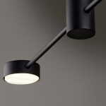 Фото 3 Потолочный светильник Freya FR5363CL-02B1