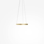 Фото 5 Подвесной светильник Maytoni MOD058PL-L22BSK