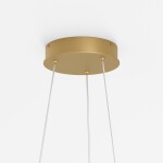 Фото 3 Подвесной светильник Maytoni MOD058PL-L22BSK