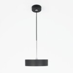 Фото 1 CL712S122N Тао Черный Св-к Подвес LED 12W*4000K