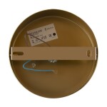 Фото 2 Настенный светильник (бра) Freya FR5124WL-01BS