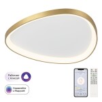 Фото CL756A162 GENKA Золото Смарт Люстра