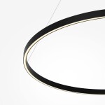 Фото 3 Подвесной светильник Maytoni MOD058PL-L54BK