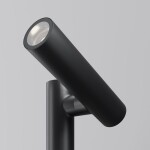 Фото 2 Ландшафтный светильник Outdoor O494FL-L10B3K