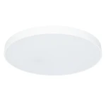 Фото Потолочный светильник Arte Lamp ARENA A2671PL-1WH