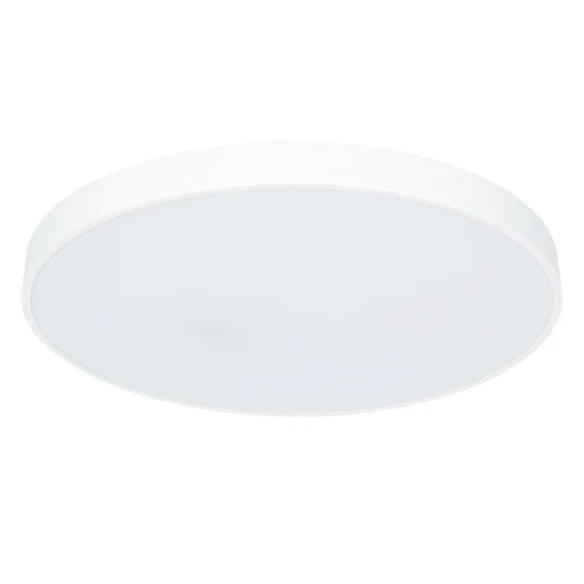 Фото Потолочный светильник Arte Lamp ARENA A2671PL-1WH