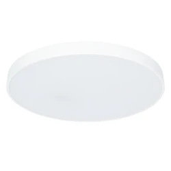 Фото Потолочный светильник Arte Lamp ARENA A2671PL-1WH