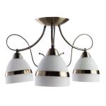 Фото Потолочная люстра Arte Lamp NOEMI A6192PL-3AB