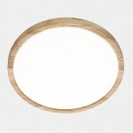 Фото 3 CL738242V Бейсик Клен Св-к Накл. LED 24W*Мульти