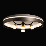 Фото 1 Люстра  660014901