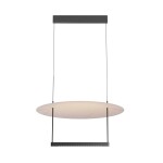 Фото 7 Подвесной светильник Maytoni MOD280PL-L30B3K1