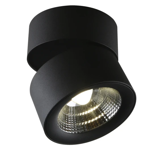 Фото Спот Divinare URCHIN 1295/04 PL-1